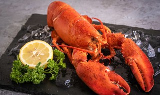 大龙虾如何清洗