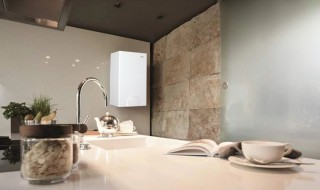 如何清洗壁挂炉（如何清洗壁挂炉过滤器）