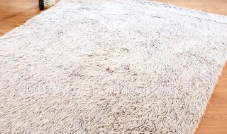 毛垫子如何清洗 毛垫子如何清洗才干净