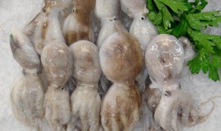 如何清洗章鱼（如何清洗章鱼,也是一门大学问）