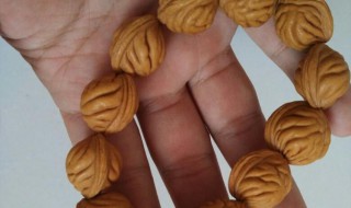 桃核如何清洗（核桃怎么清洗）