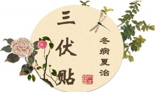 三伏贴后多久吃西瓜（三伏贴后可以吃西瓜吗）