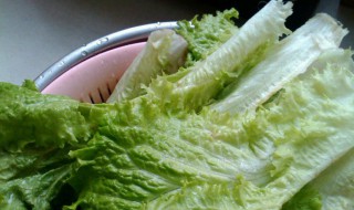 如何清洗生菜 如何清洗生菜生吃