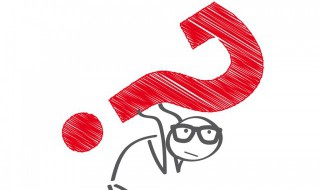 廖智的故事简介（廖智的故事简介300字）