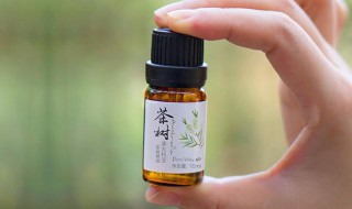 茶树精油的作用和功效（薰衣草精油的作用和功效）