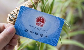 社保怎么网上缴费（医疗社保怎么网上缴费）