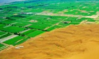 风蚀荒漠化的防治措施（风蚀荒漠化防治的基本原理）