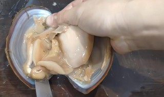 河蚌如何清洗（河蚌如何清洗视频教程）