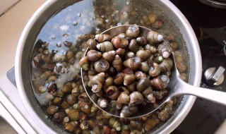 如何清洗田螺 如何清洗田螺最干净