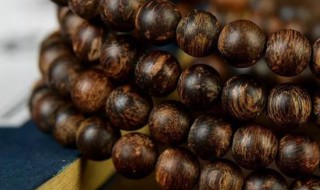 沉香如何清洗（沉香发霉了如何清洗）