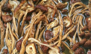 茶树菇如何清洗 茶树菇怎样清洗