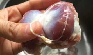 如何清洗鸡胗 如何清洗鸡胗子