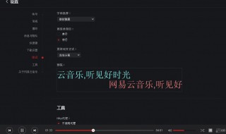 网易云怎么显示歌词（苹果网易云怎么显示歌词）