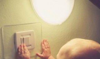 开灯睡觉老鼠会出来吗 开灯后老鼠还会出没吗