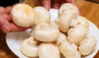 口蘑里面发黑还能吃吗（口蘑里面发黑了还能吃吗?）