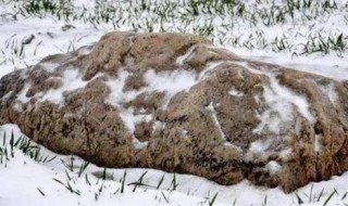 世界上最矮的山有多高 世界上最矮的山有多高?