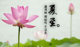 夏至什么时候（夏至什么时候日出）