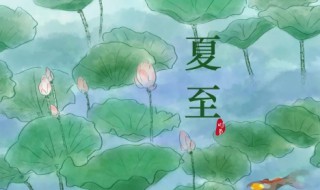 夏至后面的节气是什么 夏至后边的节气是什么