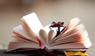 理想三旬表达什么意思（理想三旬指的是）