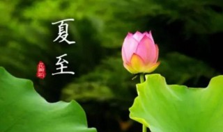 夏至是夏天结束了吗 夏至意味着夏天的结束吗