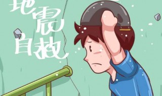 地震常识 地震常识小测试