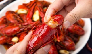 小龙虾怎么看新不新鲜（小龙虾怎么看新鲜不新鲜）