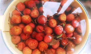 泡荔枝酒可以用低度酒吗 泡荔枝酒可以用低度酒吗