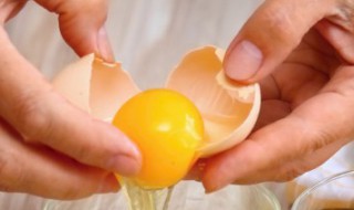 宝宝吃鹌鹑蛋好还是鸡蛋好 婴儿吃鹌鹑蛋好还是鸡蛋好