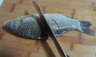 鲤鱼去腥线方法 鲤鱼的腥线怎么去除