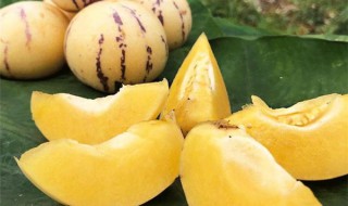 生人参果怎么催熟 生人参果怎么催熟的