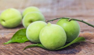 青梅属于发物吗 青竹梅是发物吗