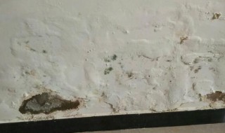 墙面反碱怎么办（屋里墙面反碱怎么办）