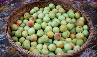 经期可以吃青梅吗（例假能吃青梅吗）
