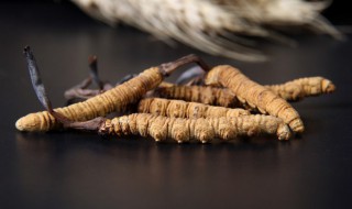 虫草发霉还能吃吗（虫草生霉还能吃吗）