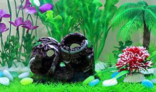 石头鱼的鱼缸摆放位置 石头鱼的鱼缸摆放位置图片