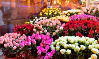 高铁可以带鲜花上去吗 高铁可以带鲜花么