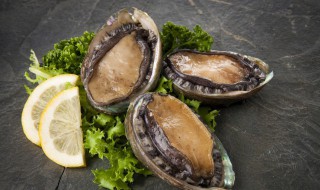 鲍鱼为什么蒸了会硬 鲍鱼为什么蒸了会硬硬的