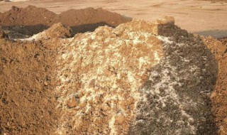 羊粪如何自然发酵（羊粪怎么发酵呢）