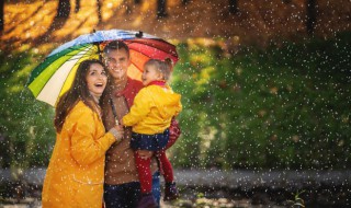 雨伞结构 雨伞结构素描