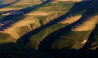 陇原是哪里 和陇原是干什么的
