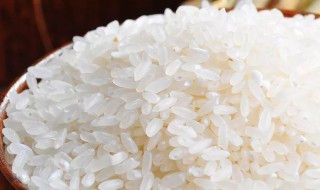 冲泡米饭的原理（冲泡米饭的原理是什么）