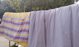 晒被子的味道 晒被子的味道是螨虫的味道吗