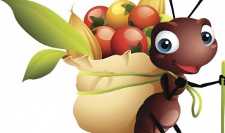 家里出现会飞的蚂蚁怎么办 家里出现飞蚂蚁的原因怎么能