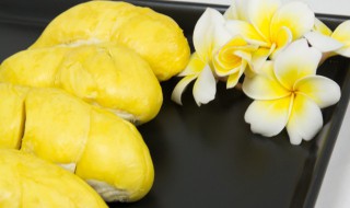 榴莲旺季是几月份 榴莲成熟的季节是几月榴莲的旺季是什么时候