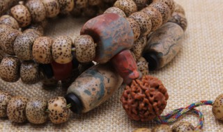 如何清洗菩提子（菩提怎么清洗）