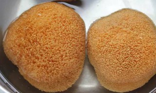 猴头菇如何清洗 新鲜猴头菇如何清洗