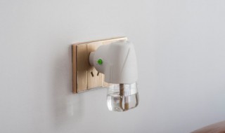 厕所蚊子的根治小妙招（灭蚊子最有效的小妙招）