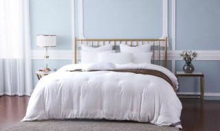 蚕丝被称为 蚕丝被称为锦衣华裳