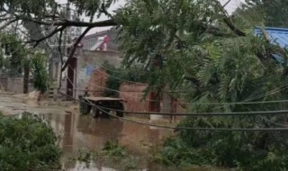 八级大风什么程度（八级大风什么程度会停电）