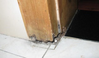 门框生虫是什么虫 门框生虫是什么虫怎什灭虫